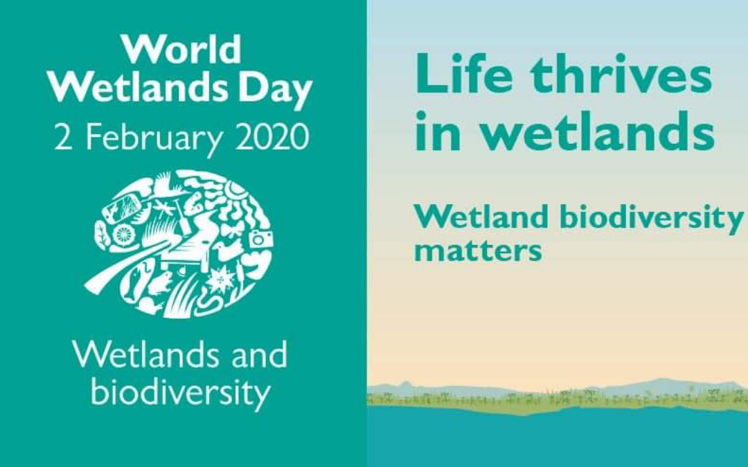 GET HANDS-ON TO CELEBRATE WORLD WETLANDS DAY