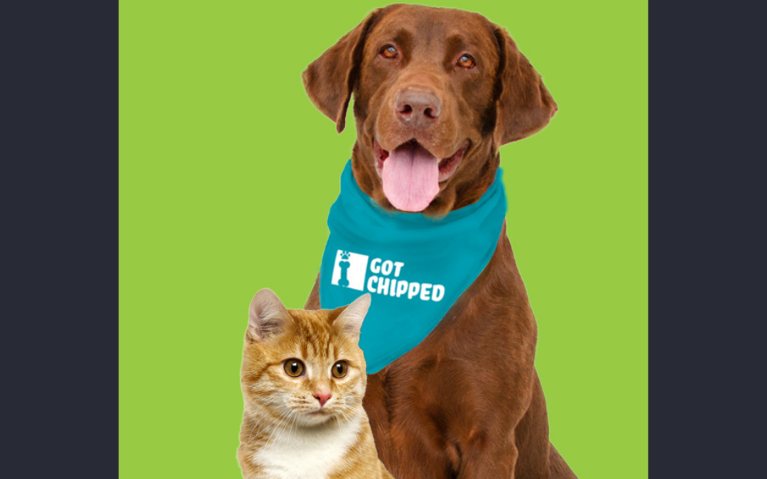 FREE MICROCHIPPING DAYS
