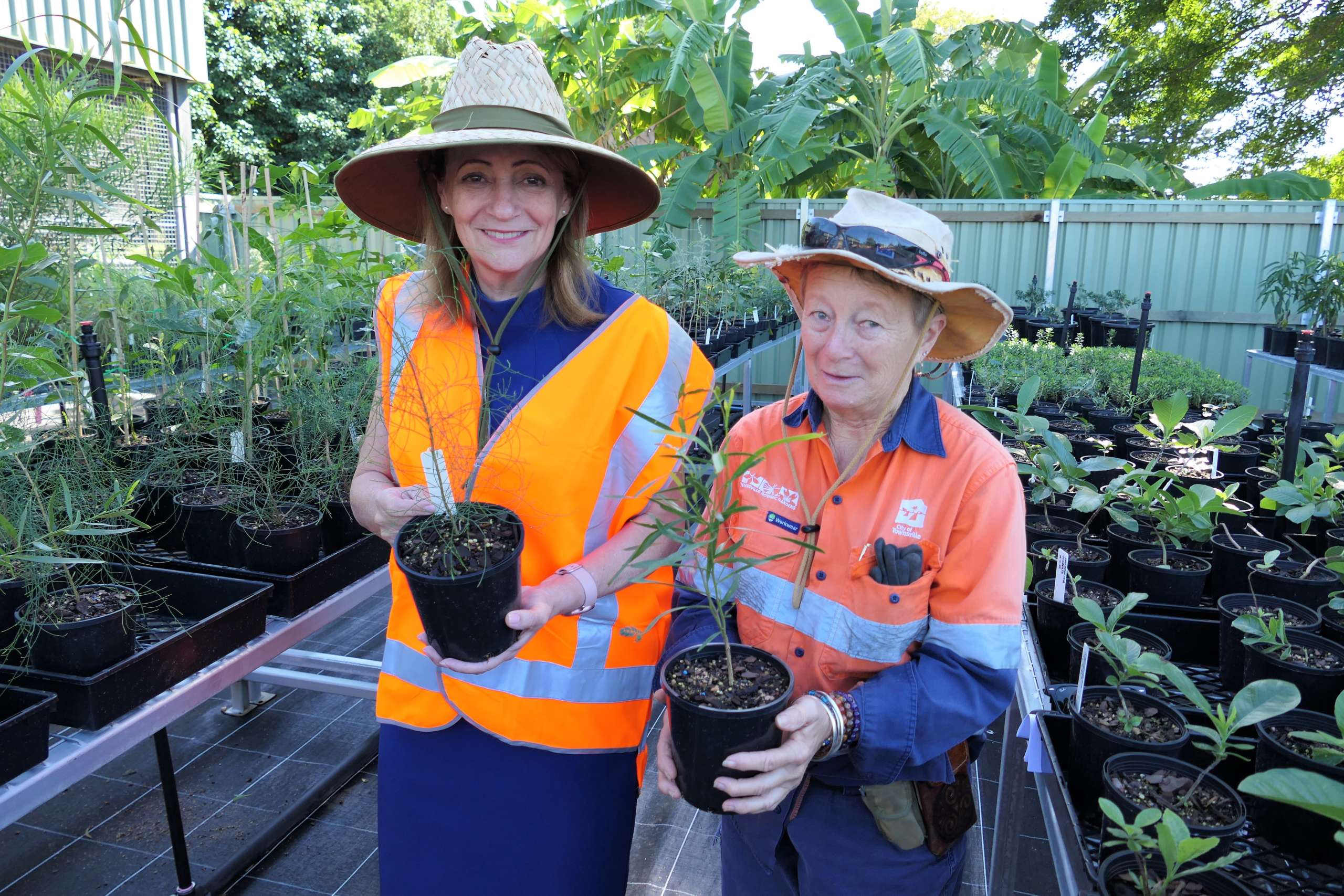 NEW NURSERY SPROUTS NATIVE DRY TROPICS GARDENING TRANSFORMATION FOR CITY