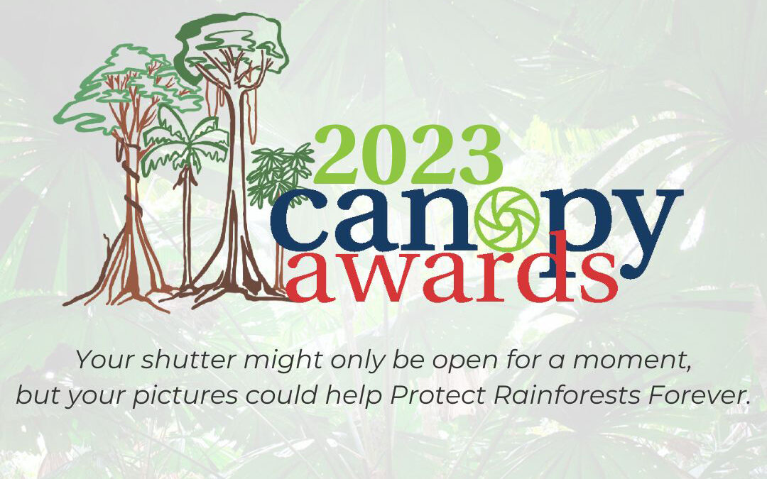 THE RAINFOREST RESCUE CANOPY AWARDS EXTENDED