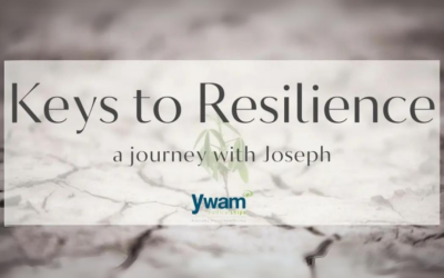 BUILDING RESILIENCE