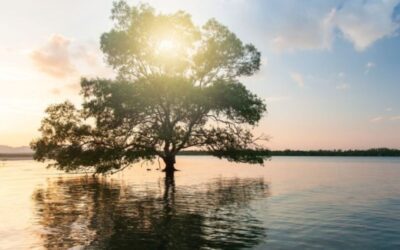 Unlimited: Power in the Words of Jesus