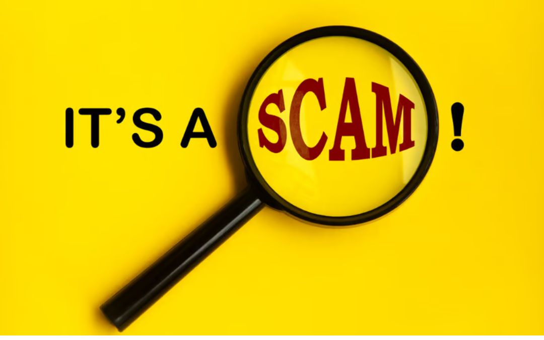 SCAM TARGETING PET OWNERS