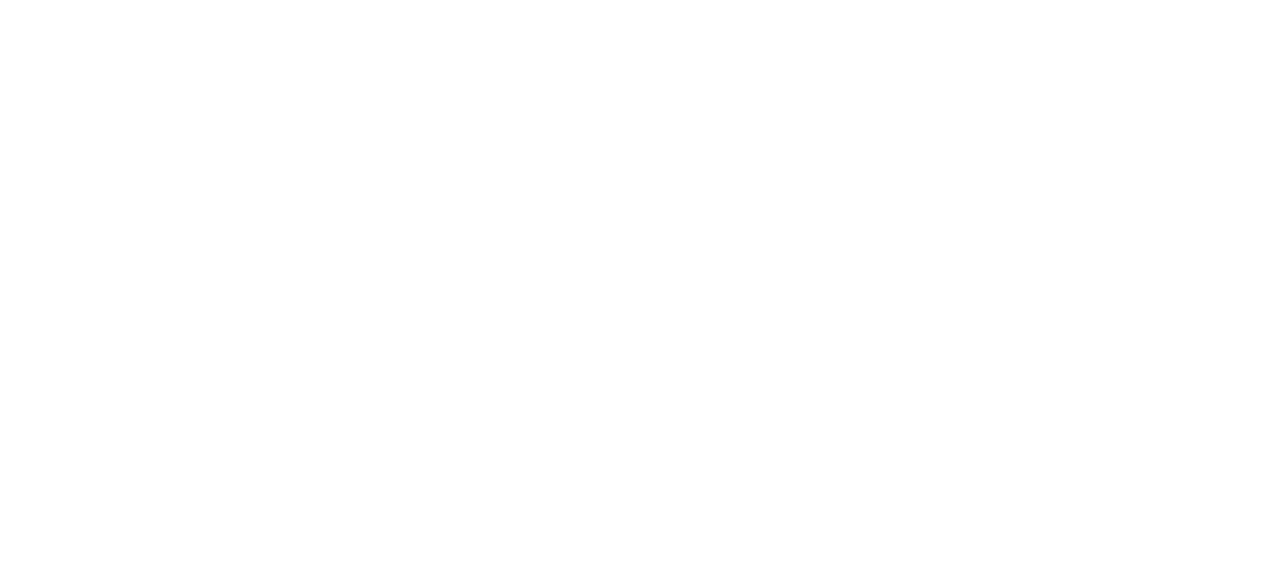Live FM Logo